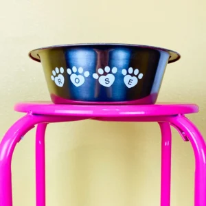 Personalized Pet bowl Vinyl Sticker. Food or Water bowl Decal with their name. Vinyl Decal Sticker. Custom Pet Bowl. Customized Dog Bowl.