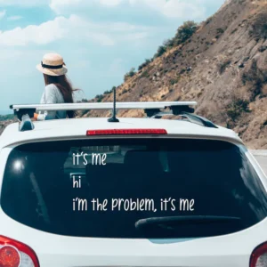 it's me hi i'm the problem, it's me vinyl decal sticker / it's me sticker / it's me decal / i'm the problem decal / concert decals / taylor